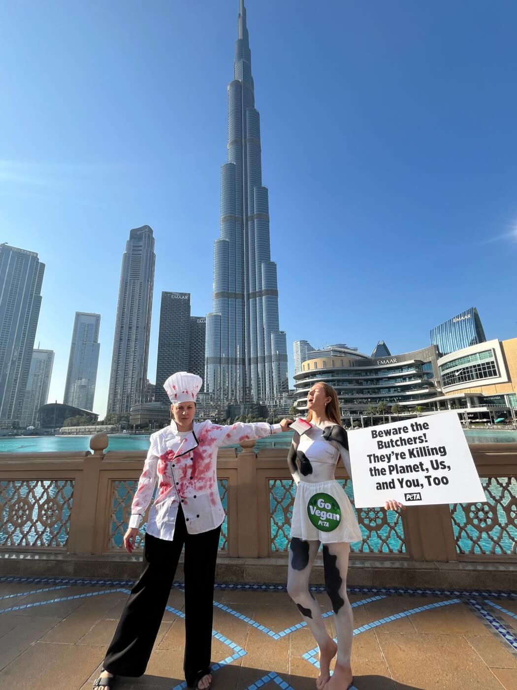 at COP28, a PETA U.K. 'cow' and 'butcher' stand near the Conference with the Dubai skyline behind them, holding a sign that reads "Beware the Butchers! They're Killing the Planet, Us, and You, Too"