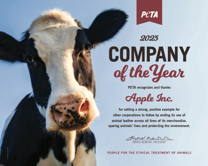 award certificate featuring a cow naming apple inc. as peta's 2023 company of the year