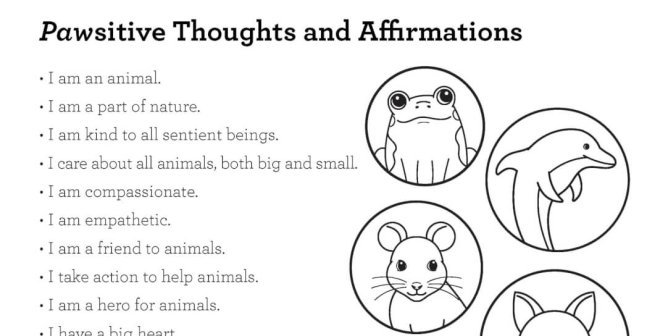 Using Empowering Affirmations to Cultivate Empathy in Your Students