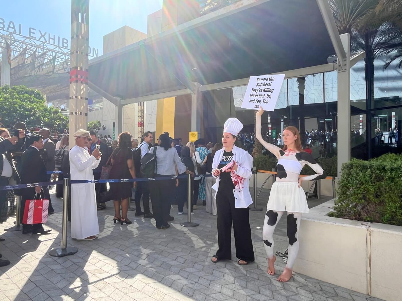 at COP28, a PETA U.K. 'cow' and 'butcher' raise awareness outside the Conference with a sign that reads "Beware the Butchers! They're Killing the Planet, Us, and You, Too"