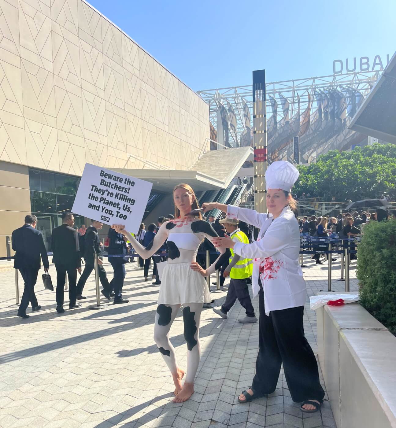 at COP28, a PETA U.K. 'cow' and 'butcher' raise awareness outside the Conference with a sign that reads "Beware the Butchers! They're Killing the Planet, Us, and You, Too"
