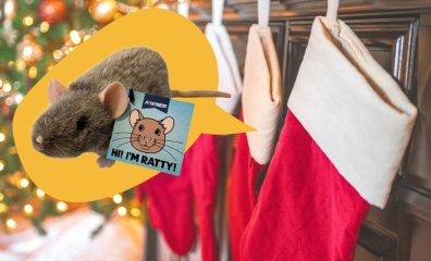 11 Vegan Stocking Stuffer Ideas for Kids—and One Gift to Avoid