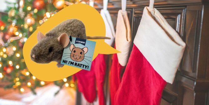 PETA kids stocking stuffers