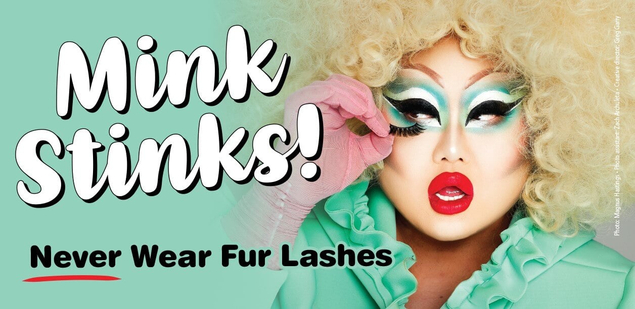 ‘RuPaul’s Drag Race’ Celebrity Kim Chi Says, ‘Mink Stinks!’