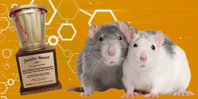 PETA’s JunkSci Award next to rats on orange scientific background
