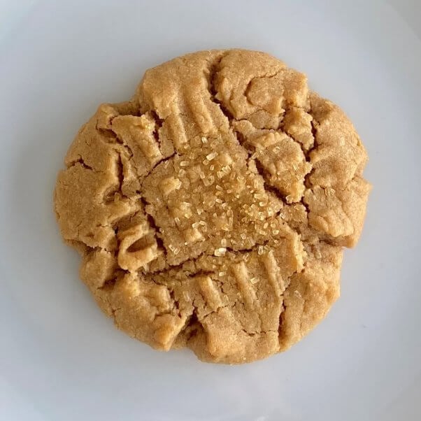 a peanut butter cookie from Gingersnap Vegan Bakery