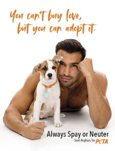 Sam Asghari with dog "You can't buy love, but you can adopt it"