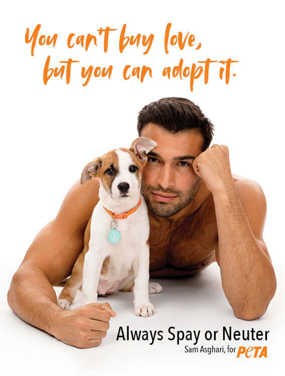 Sam Asghari with dog "You can't buy love, but you can adopt it"