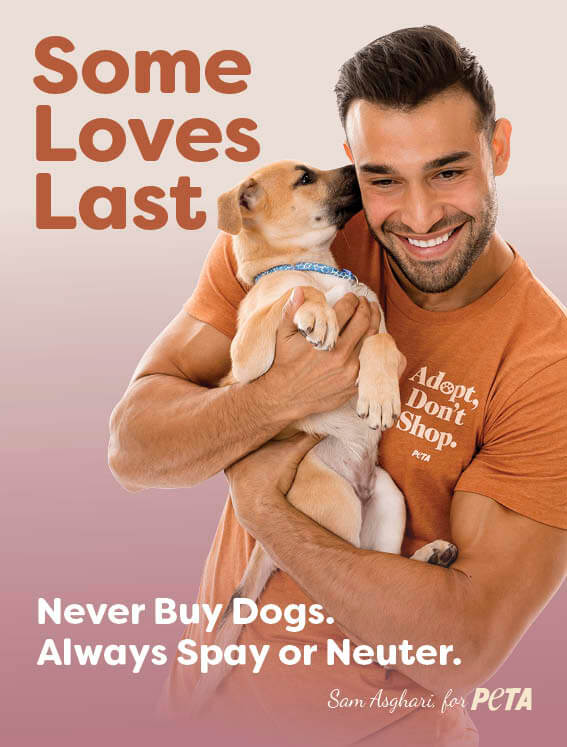 Sam Asghari and dog with text "some loves last. never buy dogs, always spay or neuter"