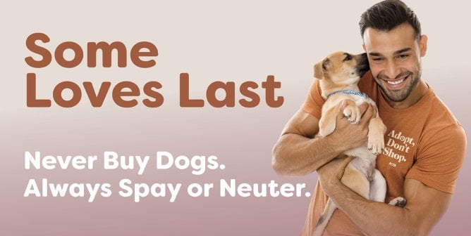 Sam Asghari and dog with text "some loves last. never buy dogs, always spay or neuter"