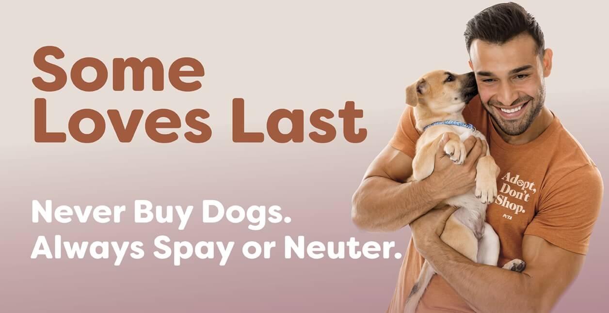 Sam Asghari: ‘You Can’t Purchase Love, however You Can Undertake It’