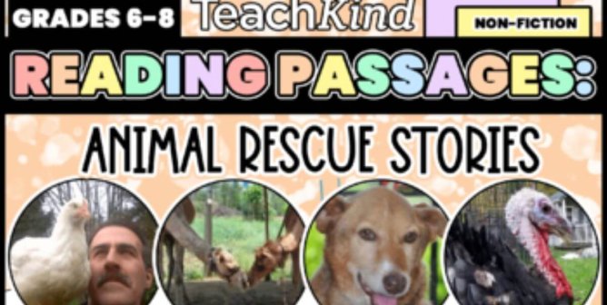 TeachKind Rescue Stories Reading Passages Bundle Thumbnail TPT