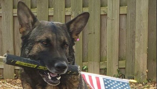 Victory: Ohio K-9 to Be Reunited With His Family!