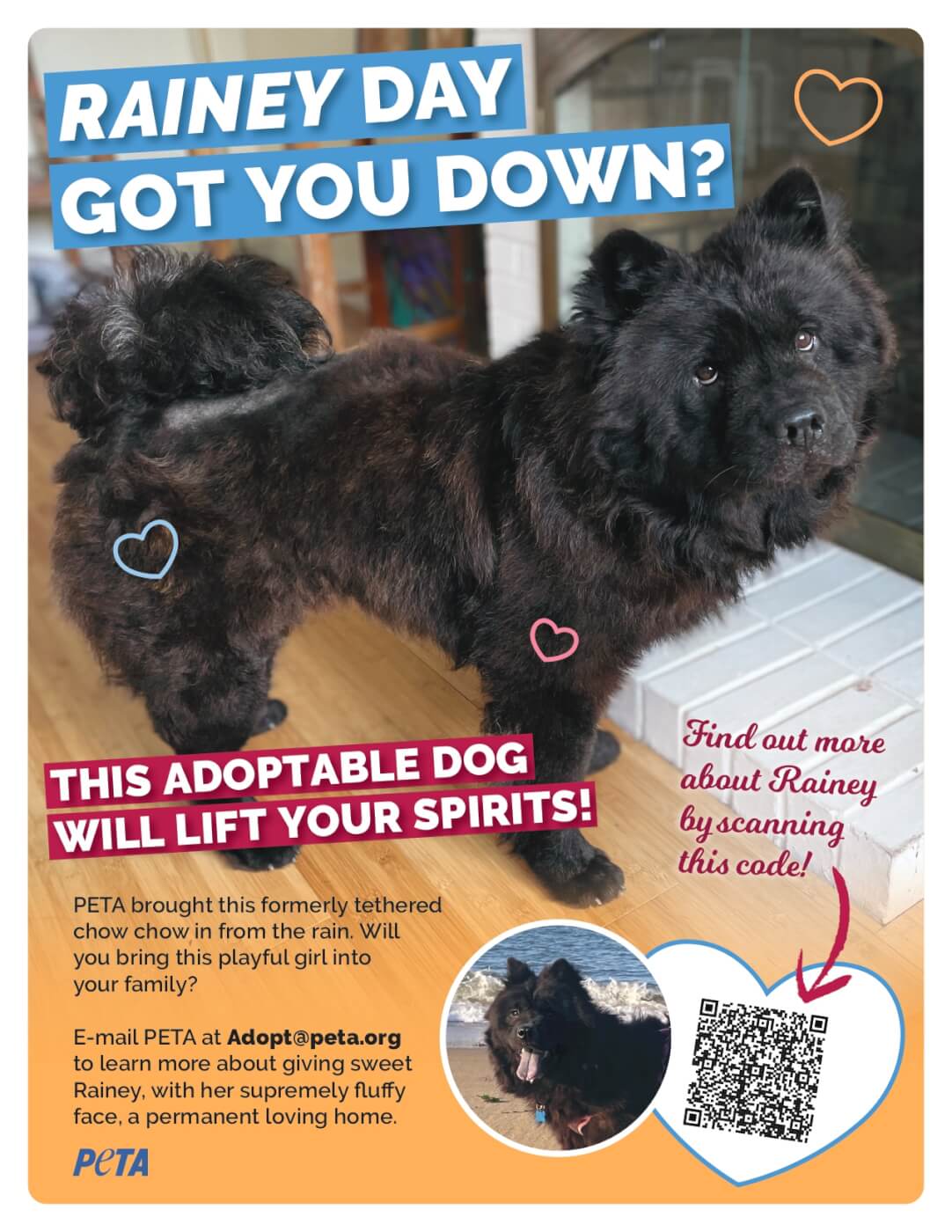 Adoption flyer for Rainey. The headline text reads "Rainey Day got you down? This adoptable dog will lift your spirits!"