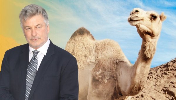 Join PETA and Alec Baldwin: Urge Radio City Music Hall to Stop Using Animals in Shows