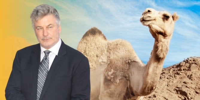Camel next to Alec Baldwin