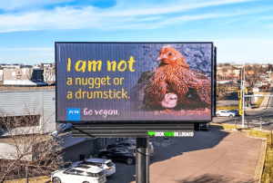 chicken billboard sioux falls ‘Animals’ Light Up Empire Mall With Heartfelt Appeals to Holiday Shoppers