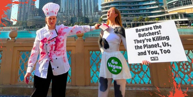PHOTOS: PETA U.K. ‘Cow’ and ‘Butcher’ Hit COP28 With Warning to Flesh Peddlers Infiltrating a Conference
