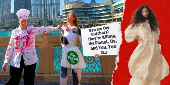 PETA U.K. ‘Cow’ and ‘Butcher’ Pop Up at COP28—Plus Stella McCartney’s New Collab