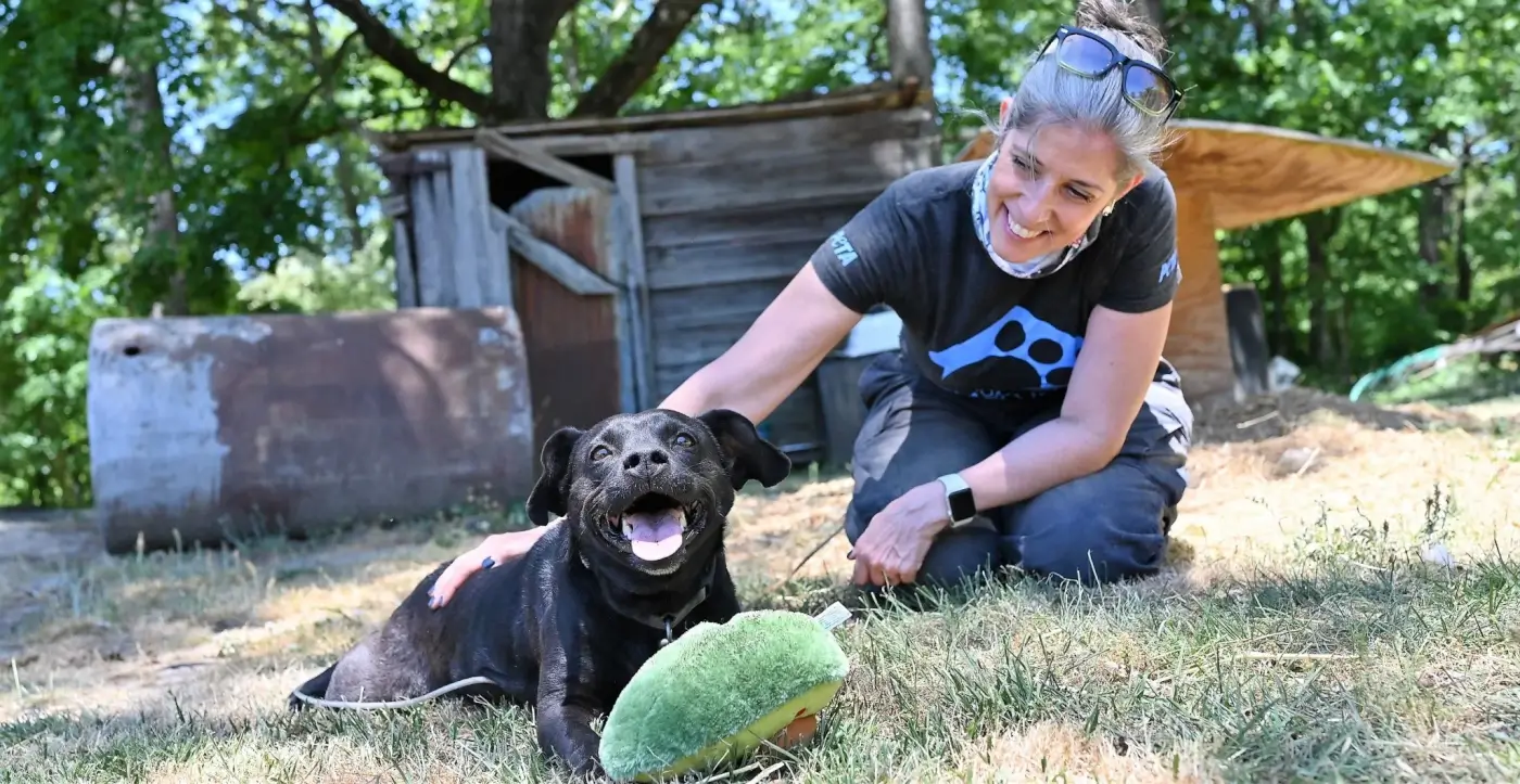 A PETA fieldworker pets Daisy Mae, a black dog