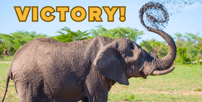 Hadi Shrine Circus Losing Sponsorships Left and Right