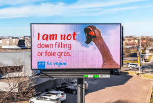 goose billboard sioux falls ‘Animals’ Light Up Empire Mall With Heartfelt Appeals to Holiday Shoppers