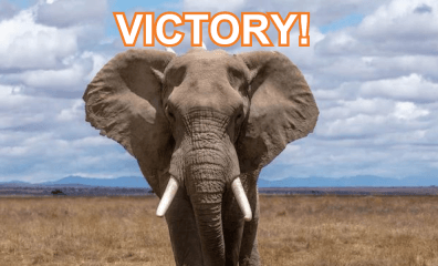 Hadi Shrine Circus Losing Sponsorships Left and Right