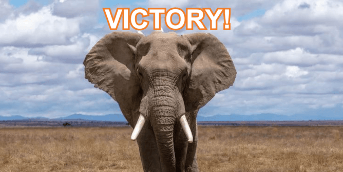 Hadi Shrine Circus Losing Sponsorships Left and Right