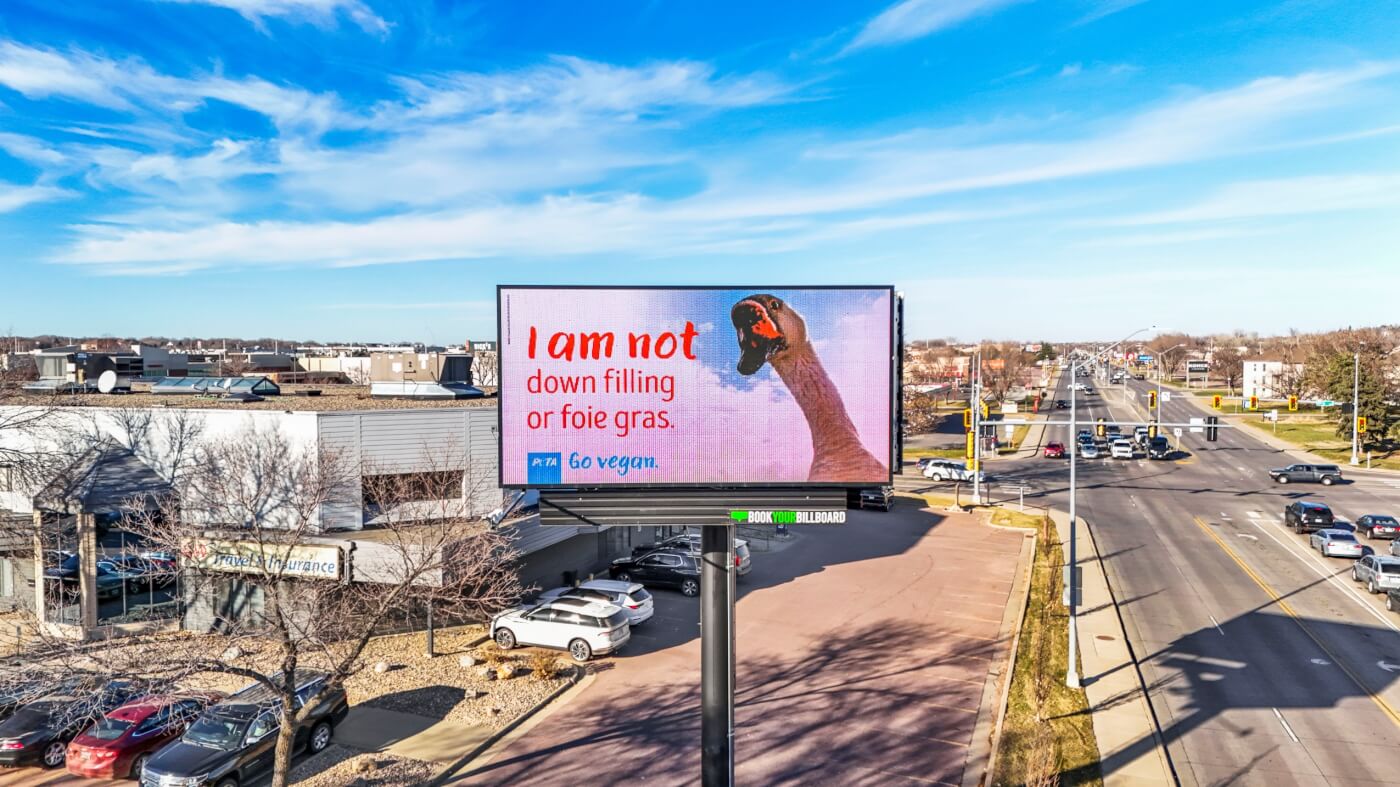 A digital billboard reads: "I am not down filling or foie gras."