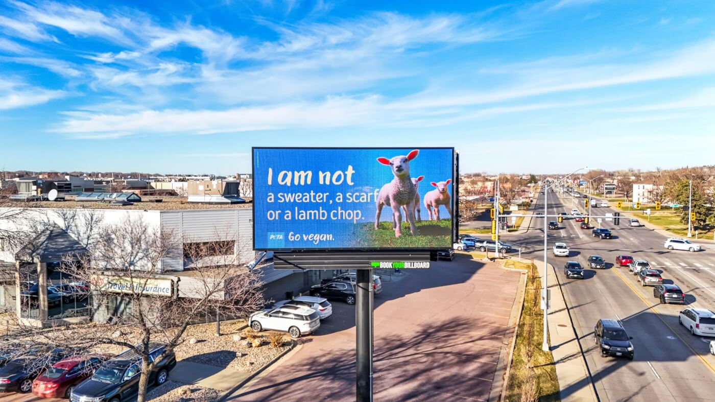 A digital billboard reads: "I am not a sweater, a scarf, or a lamb chop."