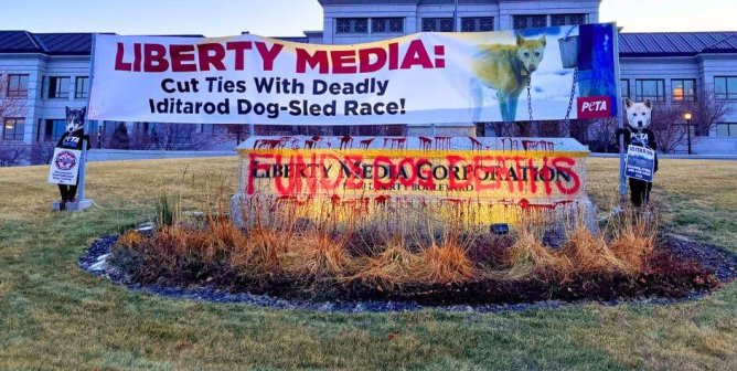 dogs protest liberty media