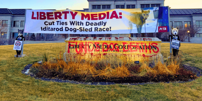 There’s No Liberty for Dogs Until This Company Cuts Its Deadly Connection