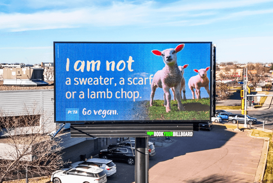 billboard featuring a sheep that urges people to not wear wool