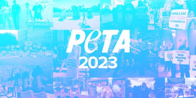 a photo collage of protestors with an overlay that reads PETA 2023