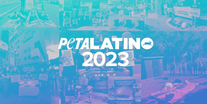 Collage of protest images with "PETA Latino 2023" overlaid