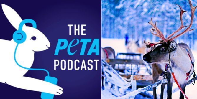 Go Behind the Scenes at PETA With Our New Podcast