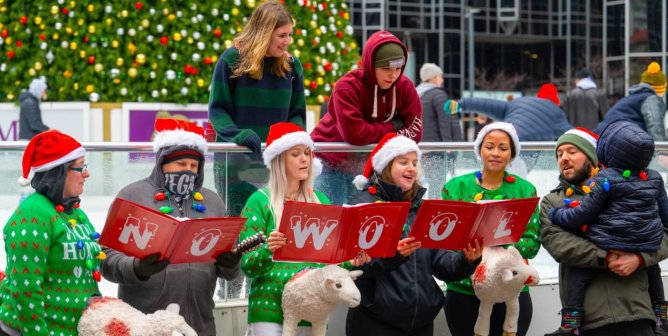 sheep singers for a wool free winter