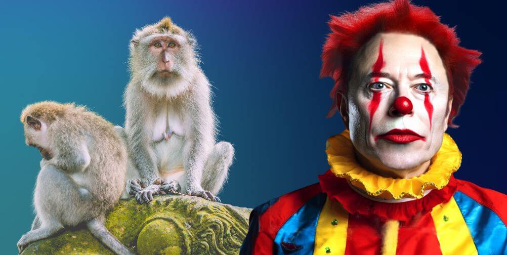 two monkeys next to Elon Musk as Clown