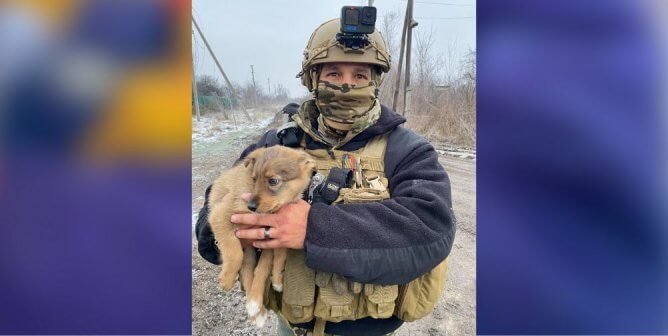rescuers in ukraine hold puppy