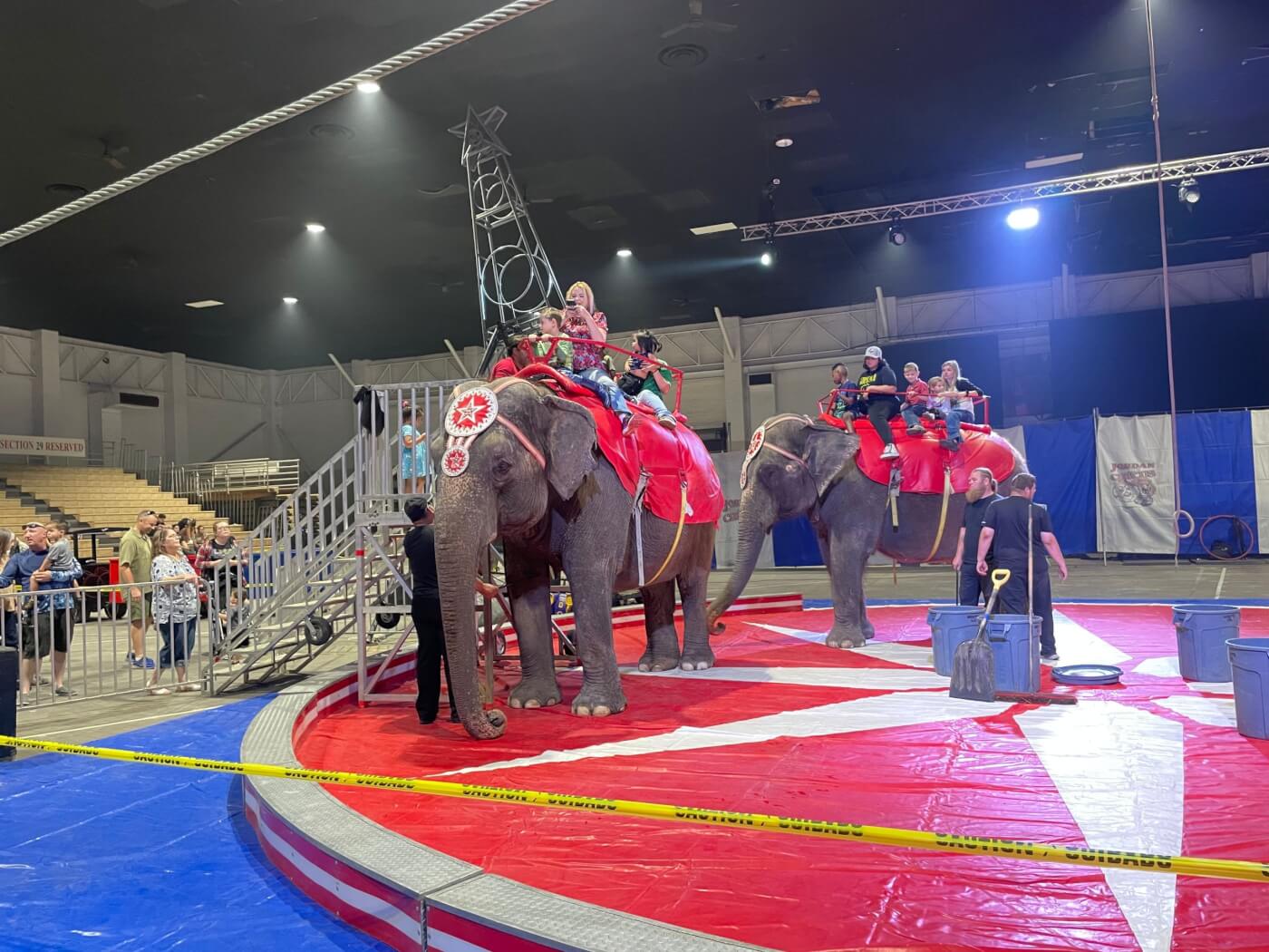 elephants dressed in costumes forced to give rides to humans at a circus provided by Carson & Barnes