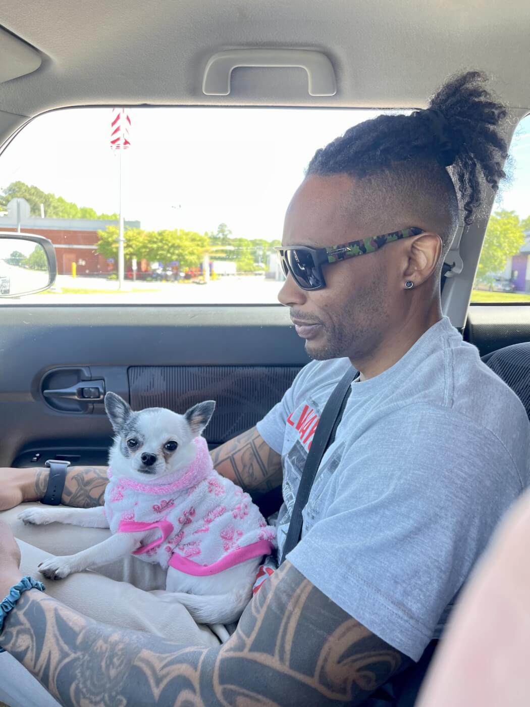 Zoe in a pink sweather on the lap of her human companion in a car