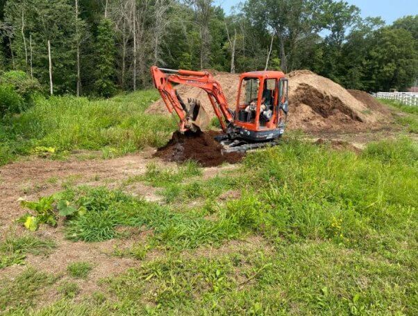 an excavator digs for the body of Finish Line, a horse trained by Frederick Bourgault