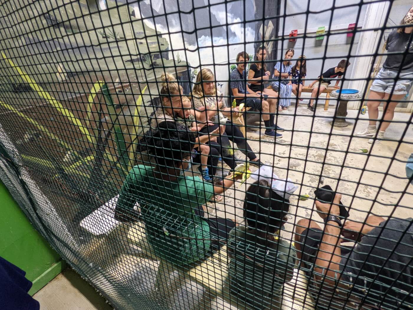 crowded parakeet enclosure full of birds and humans at Austin Aquarium