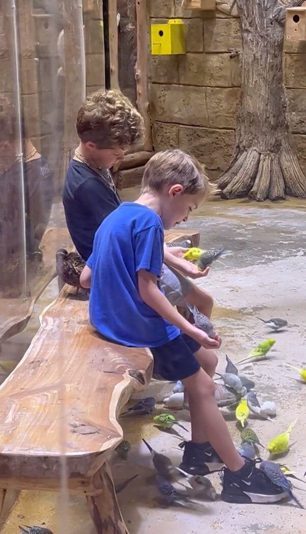 a crowd of parakeets by two children's feet at Houston Interactive Aquarium