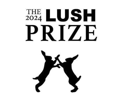 the 2024 Lush Prize logo