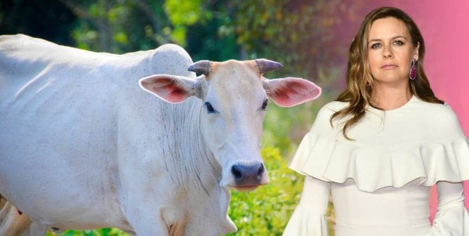 Alicia Silverstone with Cow from India