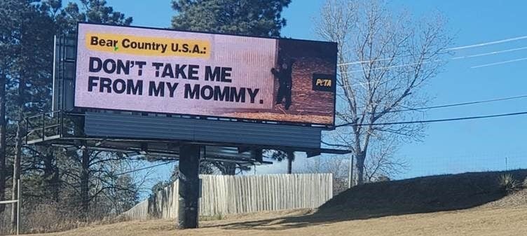 Bear Country USA ad Dont Take Me From My Mommy 1.24 PO ‘Don’t Take Me From My Mommy’: Cubs’ Plea Lands on Bear Country U.S.A.’s Doorstep