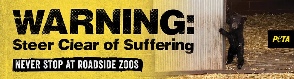 Warning: Steer Clear Of Suffering. Never Stop At Roadside Zoos.