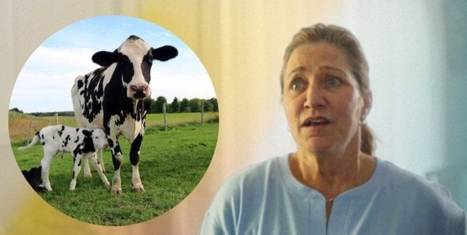 Edie Falco looking tot he side where cows are