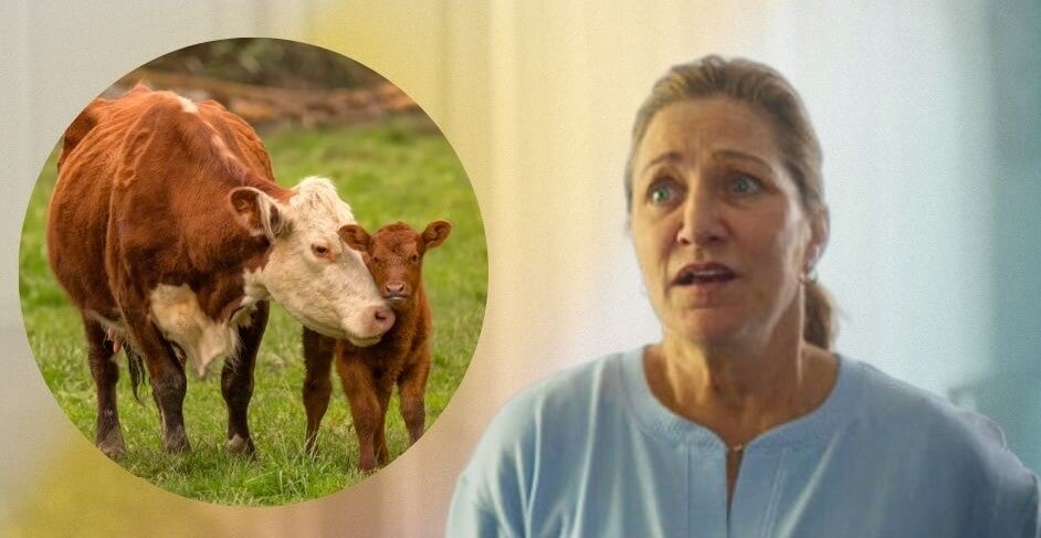 Edie Falco cheese super bowl ad feature image PETA’s Super Bowl Ad Has Edie Falco Screaming